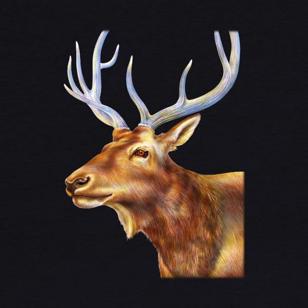 Elk by Tim Jeffs Art